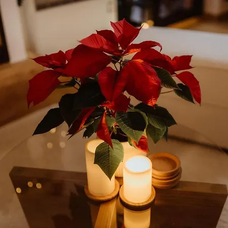 Wonderwood View Zlatibor