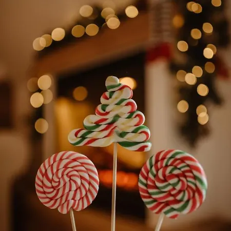 Daire Wonderwood View *