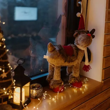 Wonderwood View * Zlatibor