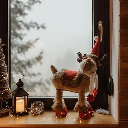 Daire Wonderwood View