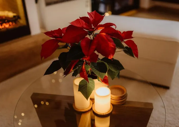 Wonderwood View Zlatibor