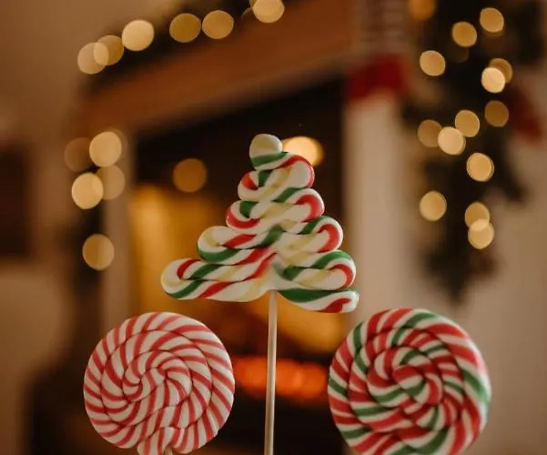 Appartement Wonderwood View *